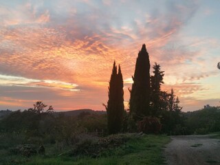 Traumhafte Sonnenuntergaenge