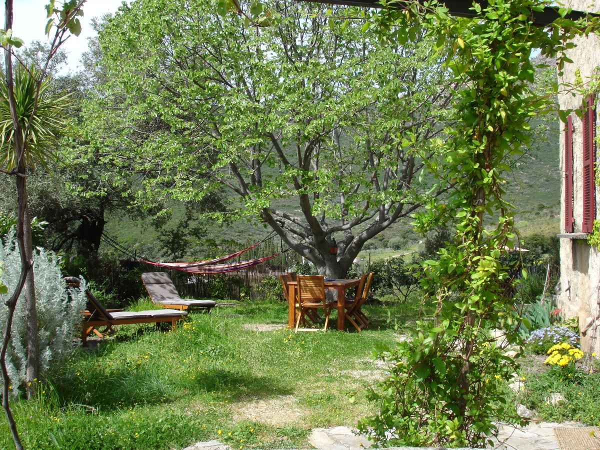 Garten im Frühling