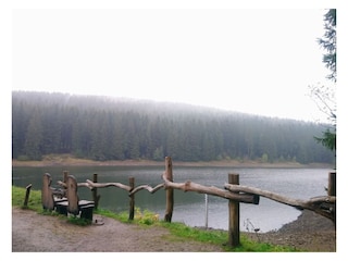Herbst am Teich