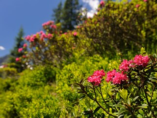 Appartamento per vacanze Oberstdorf Ambiente 26