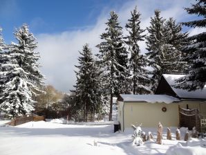 Ferienwohnung Am Fichtelberg - Oberwiesenthal - image1