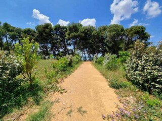 Villa Beaufort (Hérault) Environnement 36