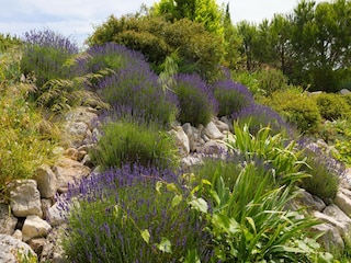 Villa Félines-Minervois Buitenaudio-opname 9