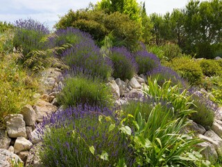 Villa Félines-Minervois Registrazione all'aperto 7