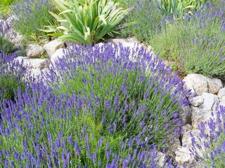 Villa Félines-Minervois  40