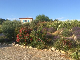 Villa Félines-Minervois  39