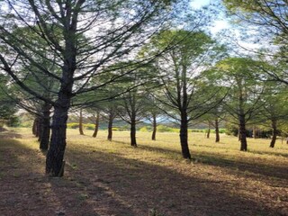 Villa Félines-Minervois Ambiente 34