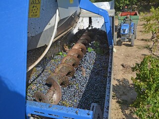 Villa Villedubert Environnement 35