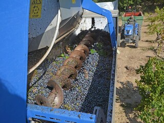 Villa Villedubert Environnement 33