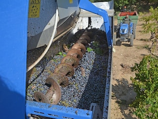 Villa Villedubert Umgebung 34