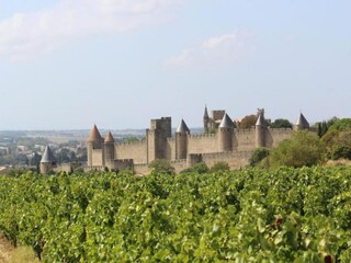 Villa Beaufort (Hérault) Environment 33