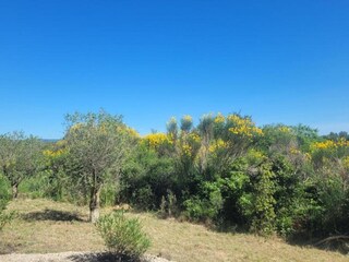 Villa Beaufort (Hérault) Ambiente 31