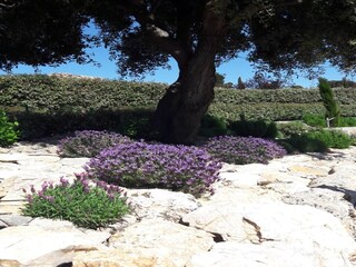 Villa Cesseras Environment 36