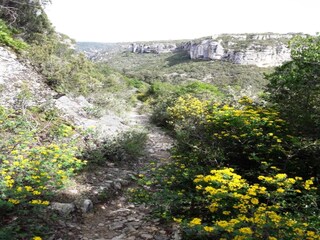 Villa Cesseras Ambiente 33