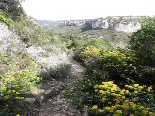 Villa Cesseras Environnement 33