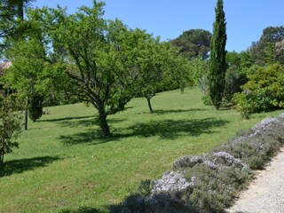 Villa Cesseras Grabación al aire libre 10