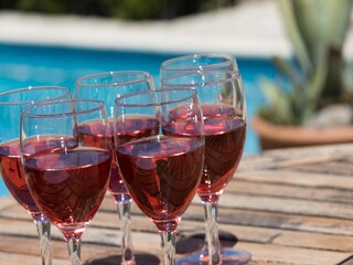 Villa Félines-Minervois  37