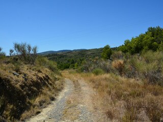 Villa Félines-Minervois Omgeving 24