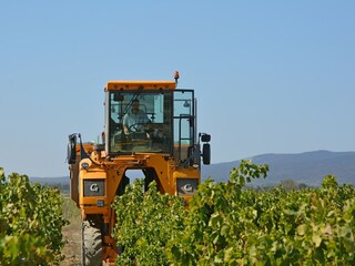 Villa Félines-Minervois Environment 28