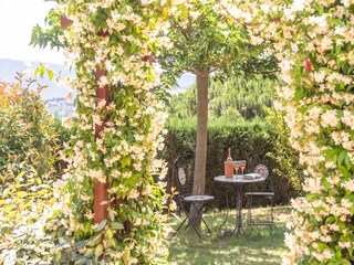 Villa Limoux Außenaufnahme 7