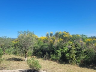 Villa Homps Environment 28