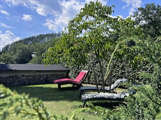 FerienHaus EulenHorst Garten