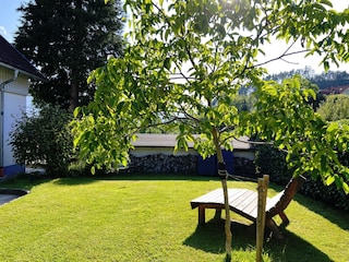 Ferienhaus EulenHorst Garten Sommer