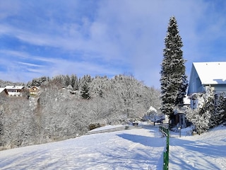 EulenHorst Seeboden Ferienhaus am Millstätter See