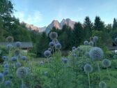 Garten im Sommer mit Blick auf Zugspitze