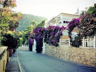 Ferienhaus Eze Umgebung 37