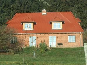 Ferienhaus Passopp - Wensin - image1