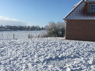 Garten im Schnee