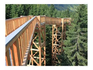 Casa per le vacanze Maishofen Ambiente 22