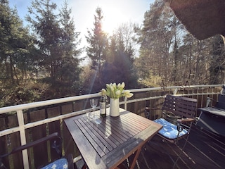 Ferienwohnung Born an der Darß Umgebung 6