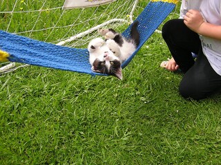 Appartamento per vacanze Eben im Pongau Ambiente 26