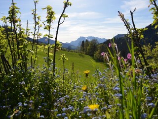 Appartamento per vacanze Eben im Pongau Registrazione all'aperto 5