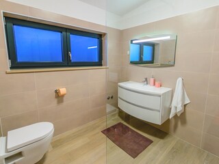 Villa Svetvinčenat Caratteristiche 39