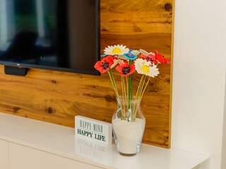 Villa Svetvinčenat Caratteristiche 18