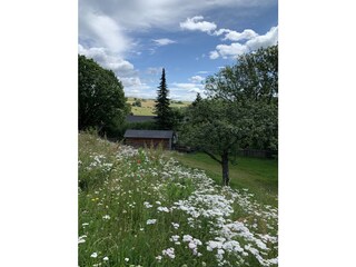 Villa Hallenberg Buitenaudio-opname 6