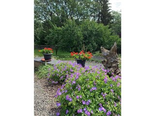 Villa Hallenberg Buitenaudio-opname 4