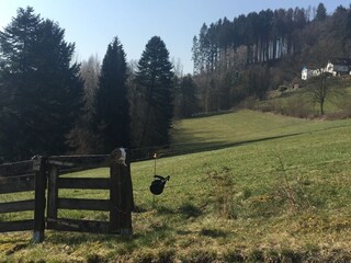 Villa Hallenberg Buitenaudio-opname 5