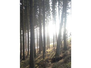 Villa Hallenberg Buitenaudio-opname 9