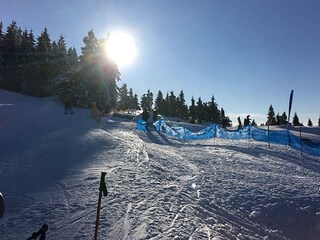 Apartamento de vacaciones Sasbachwalden Entorno 12