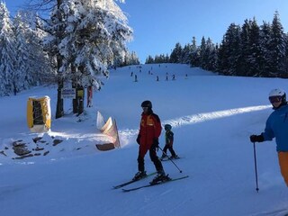 Appartamento per vacanze Sasbachwalden Ambiente 13