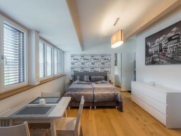 Zentral gelegenes Panorama-Apartment 3