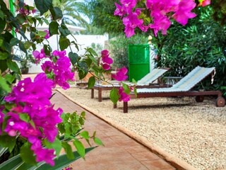 Holiday house Santanyi Outdoor Recording 9