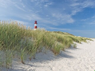 Apartamento de vacaciones Kampen Entorno 28