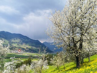 Vakantiehuis Fügen  28