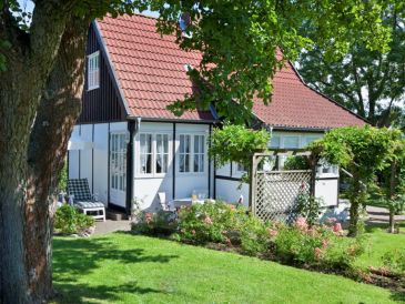 Ferienhaus 'Kleines Landhaus im Grünen'