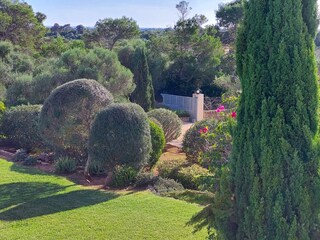Tenuta Felanitx Registrazione all'aperto 5